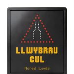Welsh Hard-Boiled Mystery eBook Amdani Series by Amazon Kindle-0