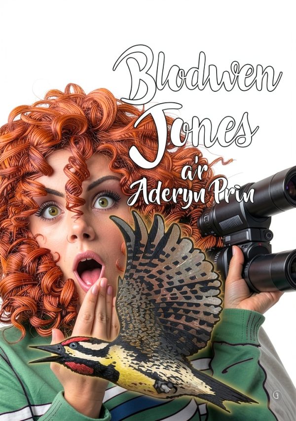 Welsh Humorous Fiction eBook by Y Lolfa Amdani Series Kindle-0