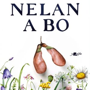 Welsh Historical Fiction eBook by Amazon 168 Page Kindle Edition-0