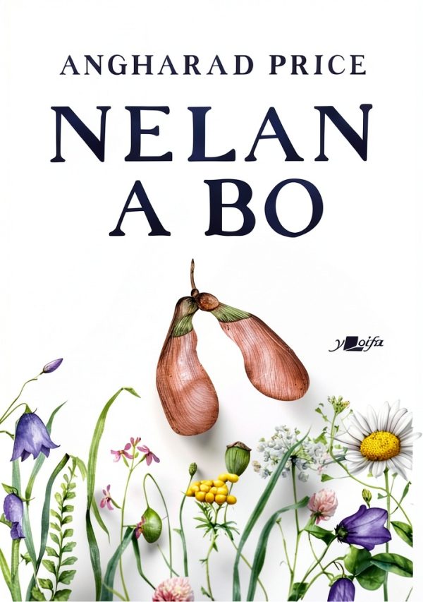 Welsh Historical Fiction eBook by Amazon 168 Page Kindle Edition-0